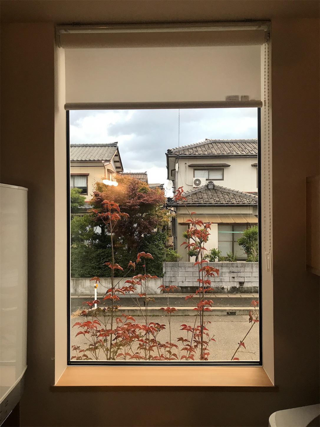 f:id:syunkasyutoh:20201113124844j:image f:id:syunkasyutoh:20201113124844j:image