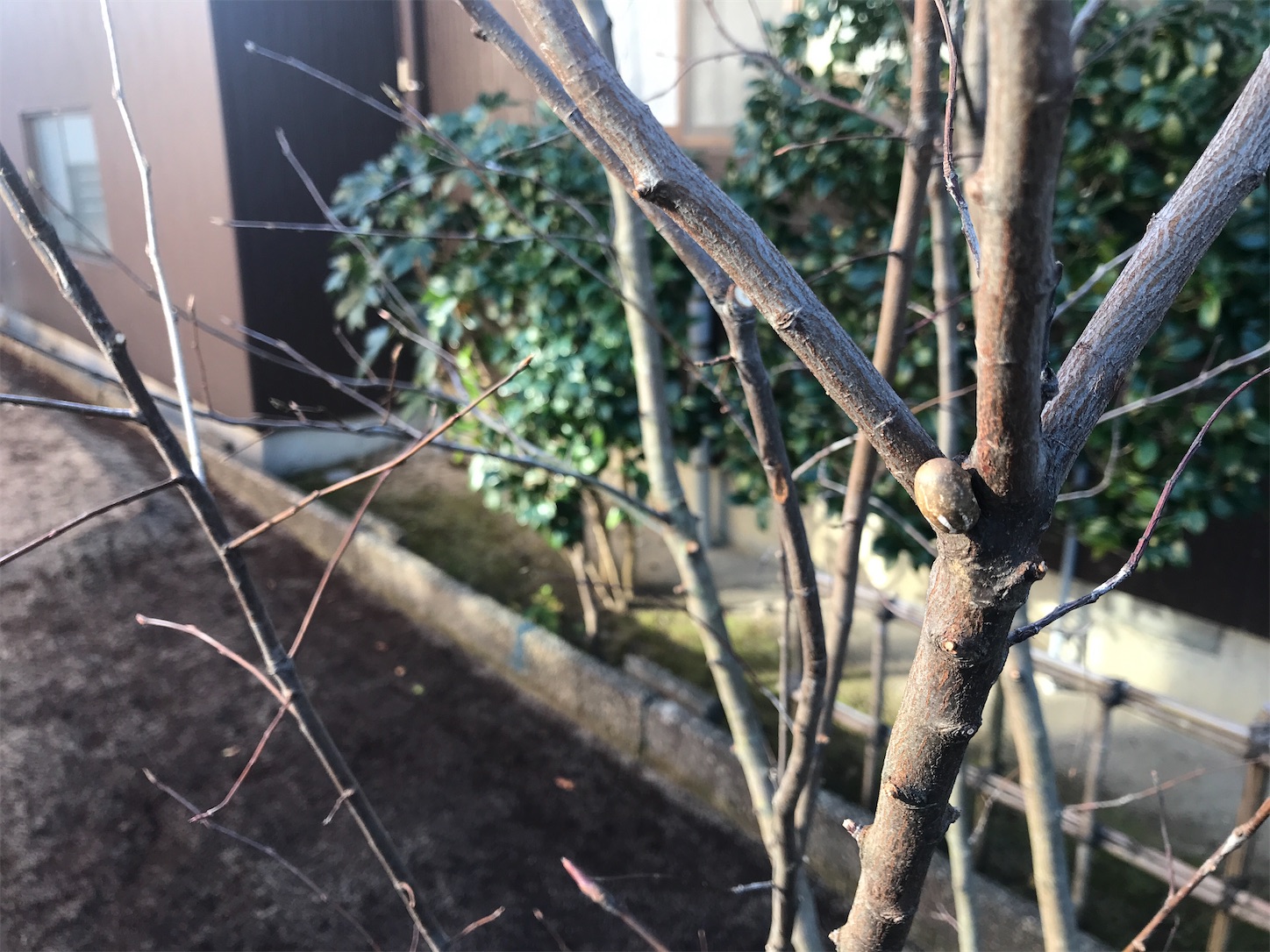 f:id:syunkasyutoh:20201114084204j:image f:id:syunkasyutoh:20201114084204j:image