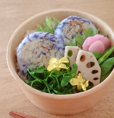 f:id:syunminringo:20190422184914j:plain f:id:syunminringo:20190422184914j:plain