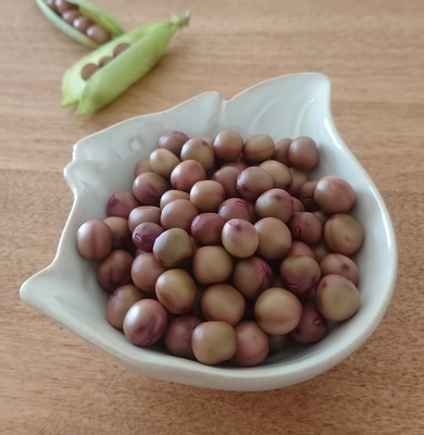 f:id:syunminringo:20190508135922j:plain f:id:syunminringo:20190508135922j:plain