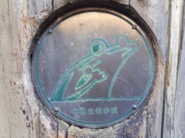 f:id:syunpalau:20200312222354j:image