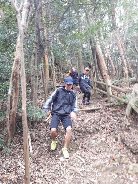 f:id:syunpalau:20200314153454j:image