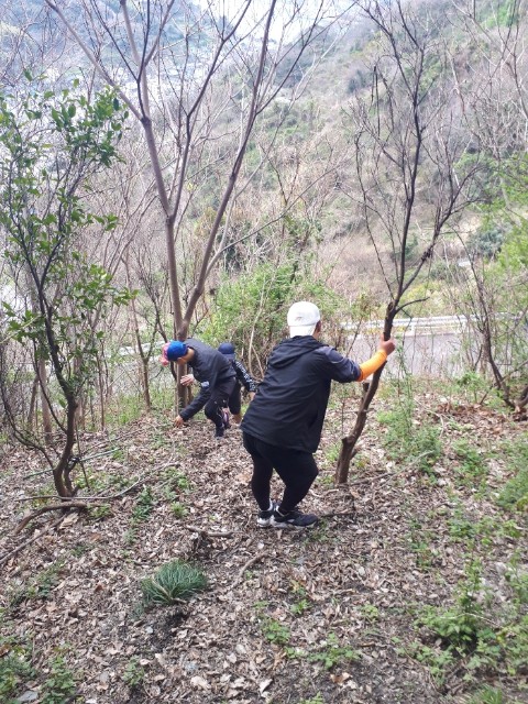 f:id:syunpalau:20200314154122j:image