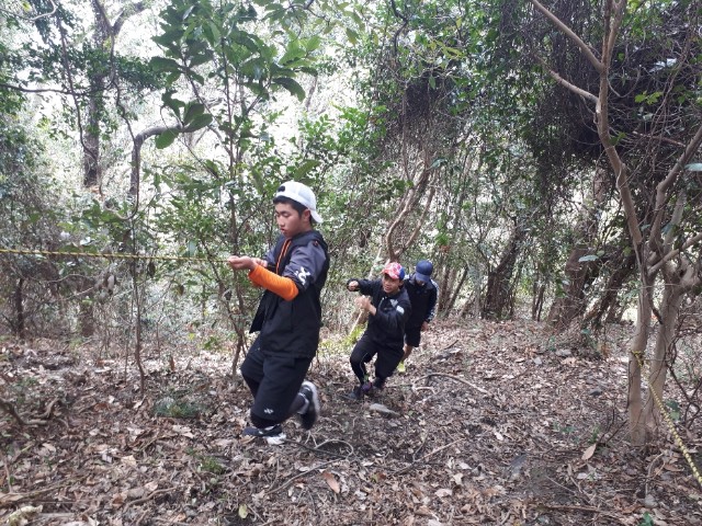 f:id:syunpalau:20200314154315j:image