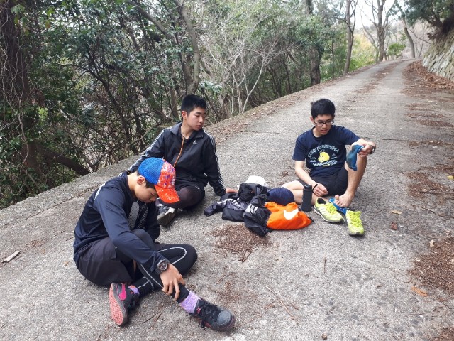 f:id:syunpalau:20200314155307j:image