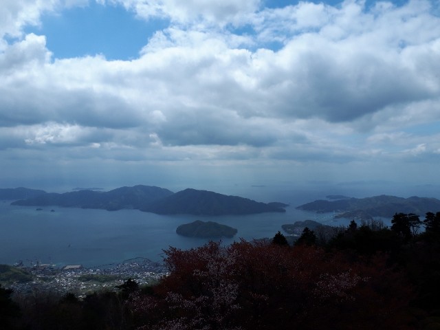 f:id:syunpalau:20200424114021j:image