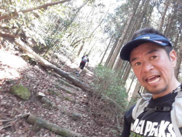 f:id:syunpalau:20200505191129j:image