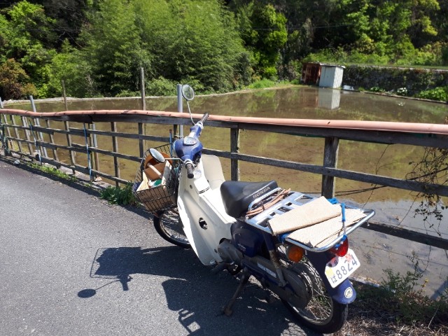 f:id:syunpalau:20200505191208j:image