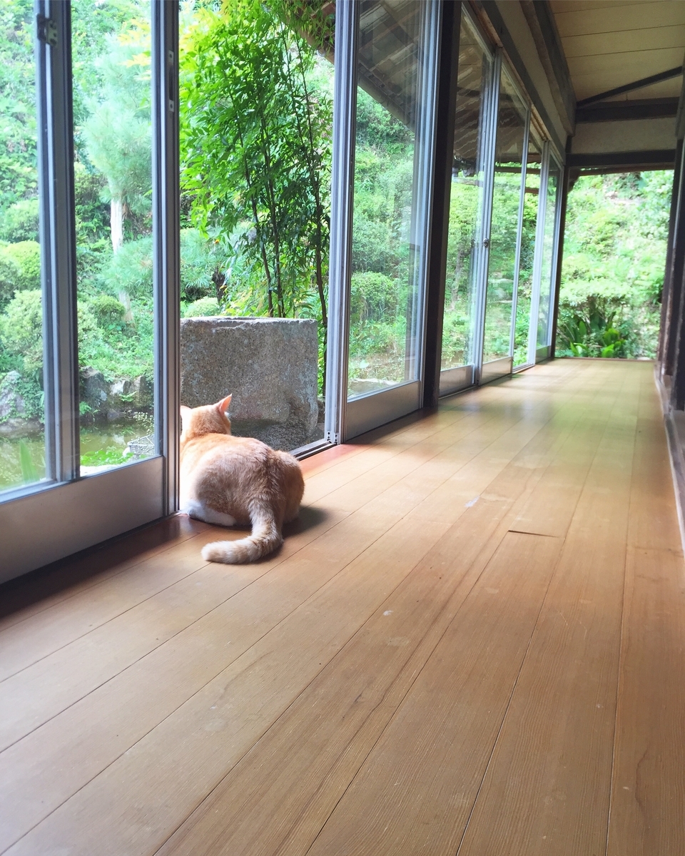 f:id:syurado_housen:20190912095238j:plain