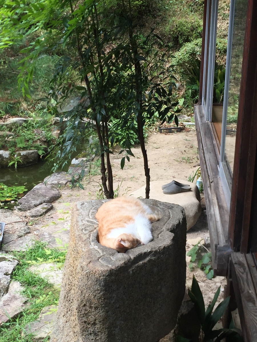 f:id:syurado_housen:20190917194453j:plain f:id:syurado_housen:20190917194453j:plain
