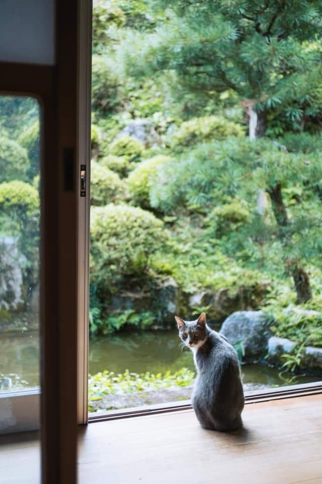 f:id:syurado_housen:20191003100817j:plain f:id:syurado_housen:20191003100817j:plain