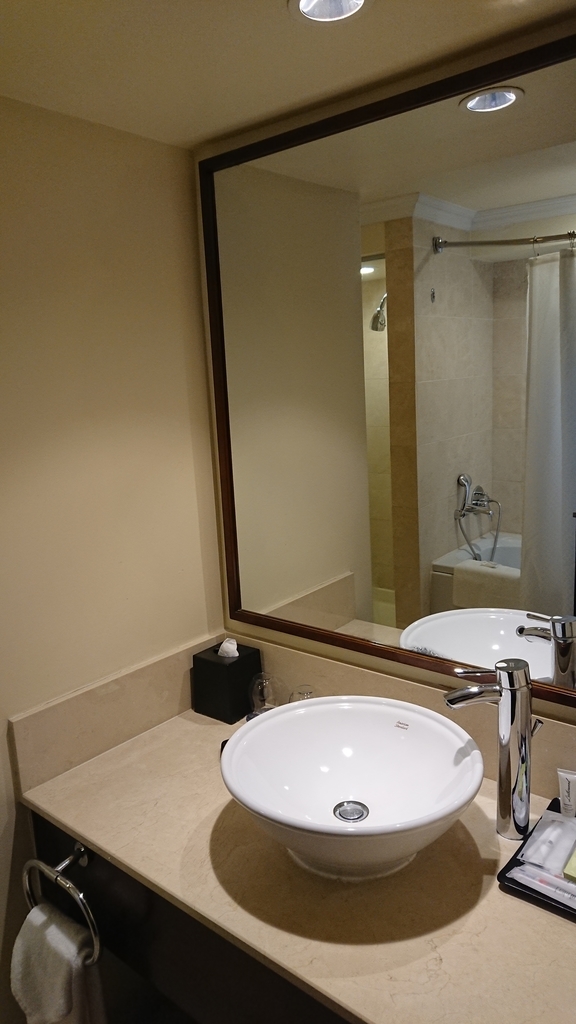f:id:syuri2525:20190309161834j:plain
