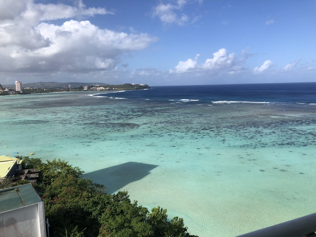 f:id:syuri2525:20190309162731j:plain