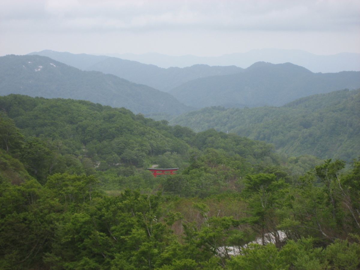 f:id:syurihanndoku:20190516220220j:plain f:id:syurihanndoku:20190516220220j:plain