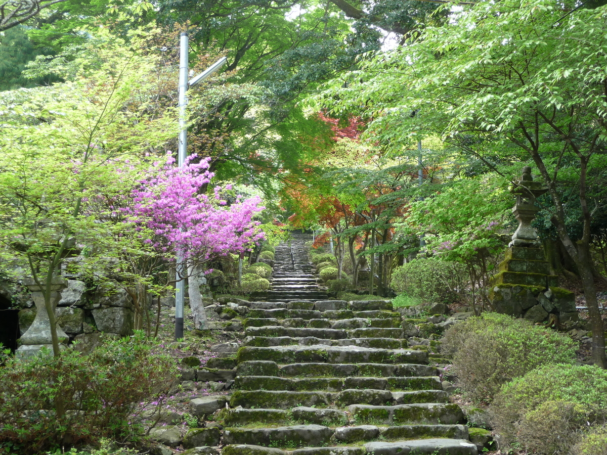 f:id:syurihanndoku:20190516220359j:plain f:id:syurihanndoku:20190516220359j:plain
