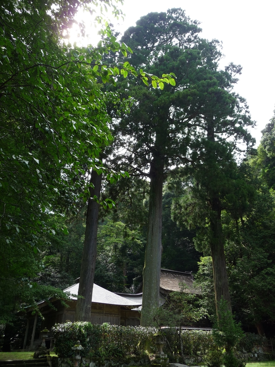 f:id:syurihanndoku:20190904204040j:plain f:id:syurihanndoku:20190904204040j:plain