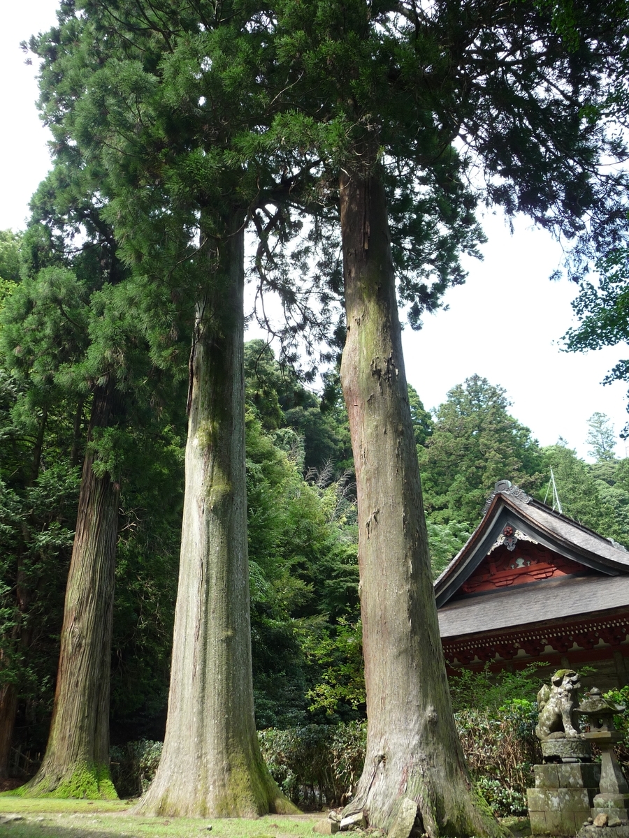 f:id:syurihanndoku:20190904204049j:plain f:id:syurihanndoku:20190904204049j:plain