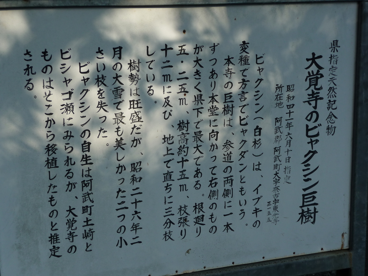 f:id:syurihanndoku:20191024111330j:plain f:id:syurihanndoku:20191024111330j:plain