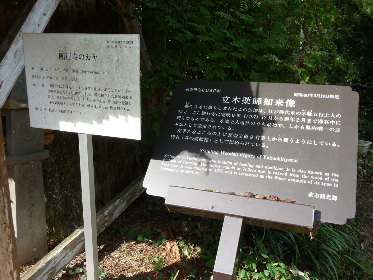 f:id:syurihanndoku:20191024111736j:plain f:id:syurihanndoku:20191024111736j:plain