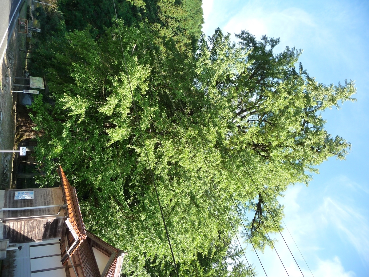 f:id:syurihanndoku:20201025213253j:plain f:id:syurihanndoku:20201025213253j:plain