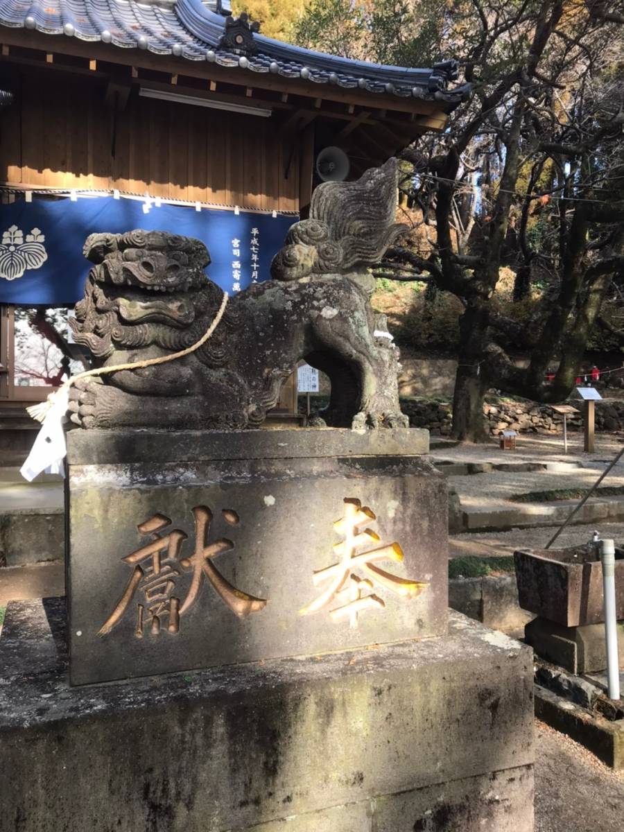 f:id:syurihanndoku:20210103131445j:plain