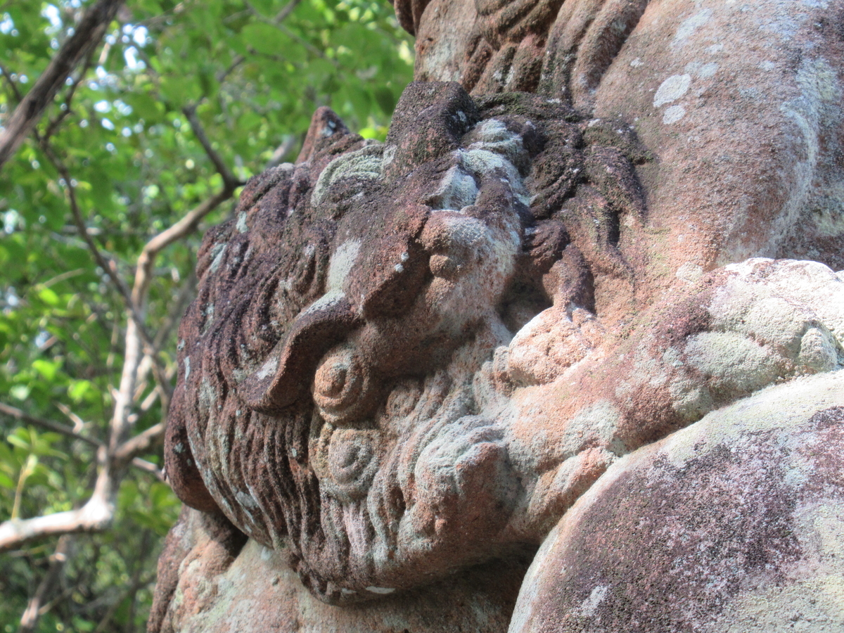 f:id:syurihanndoku:20210523203348j:plain