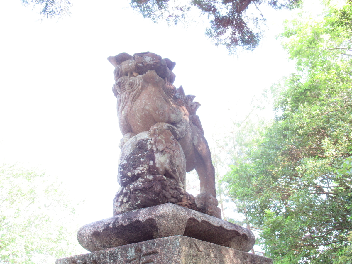 f:id:syurihanndoku:20210523203539j:plain