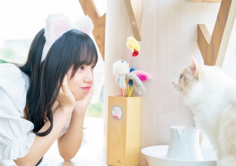 f:id:syuu19832019-asnhjs48:20201211221851j:plain