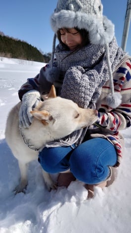 f:id:syuu19832019-asnhjs48:20210704225455j:plain