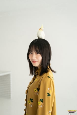 f:id:syuu19832019-asnhjs48:20210718130701j:plain