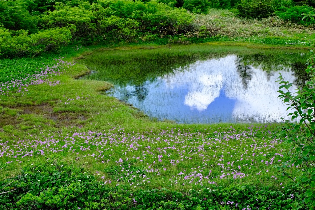 f:id:syuuiti-ok:20210725071412j:image f:id:syuuiti-ok:20210725071412j:image