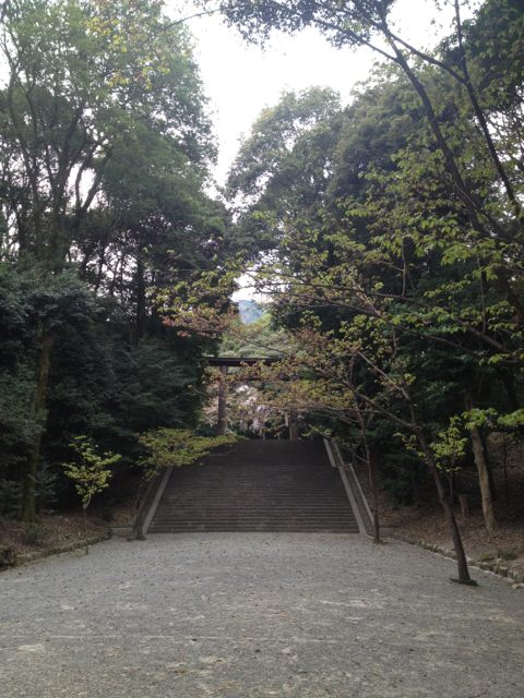 f:id:syuuki02564:20130414231306j:image:h320 f:id:syuuki02564:20130414231306j:image:h320
