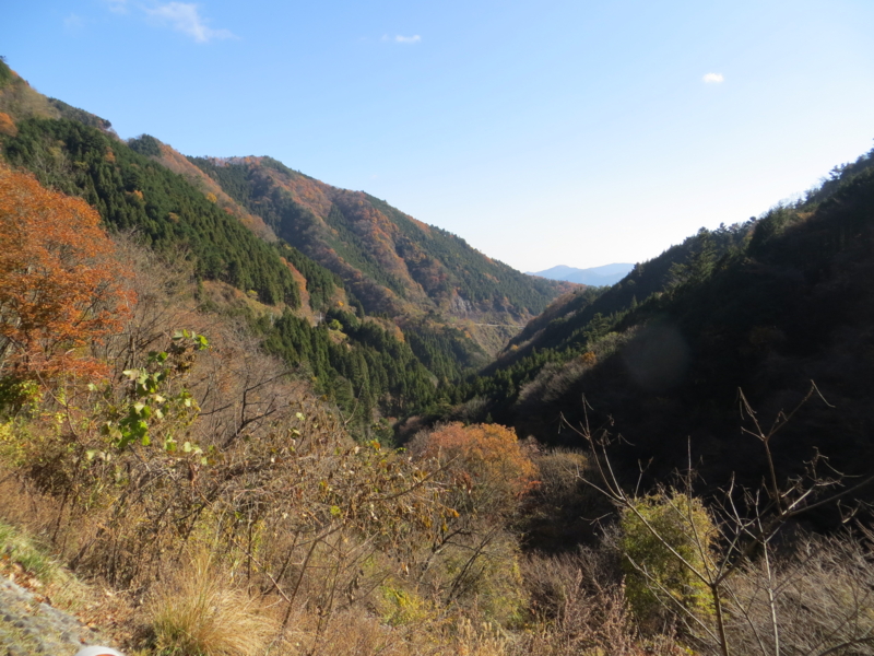 f:id:syuukun1126:20121204220447j:image