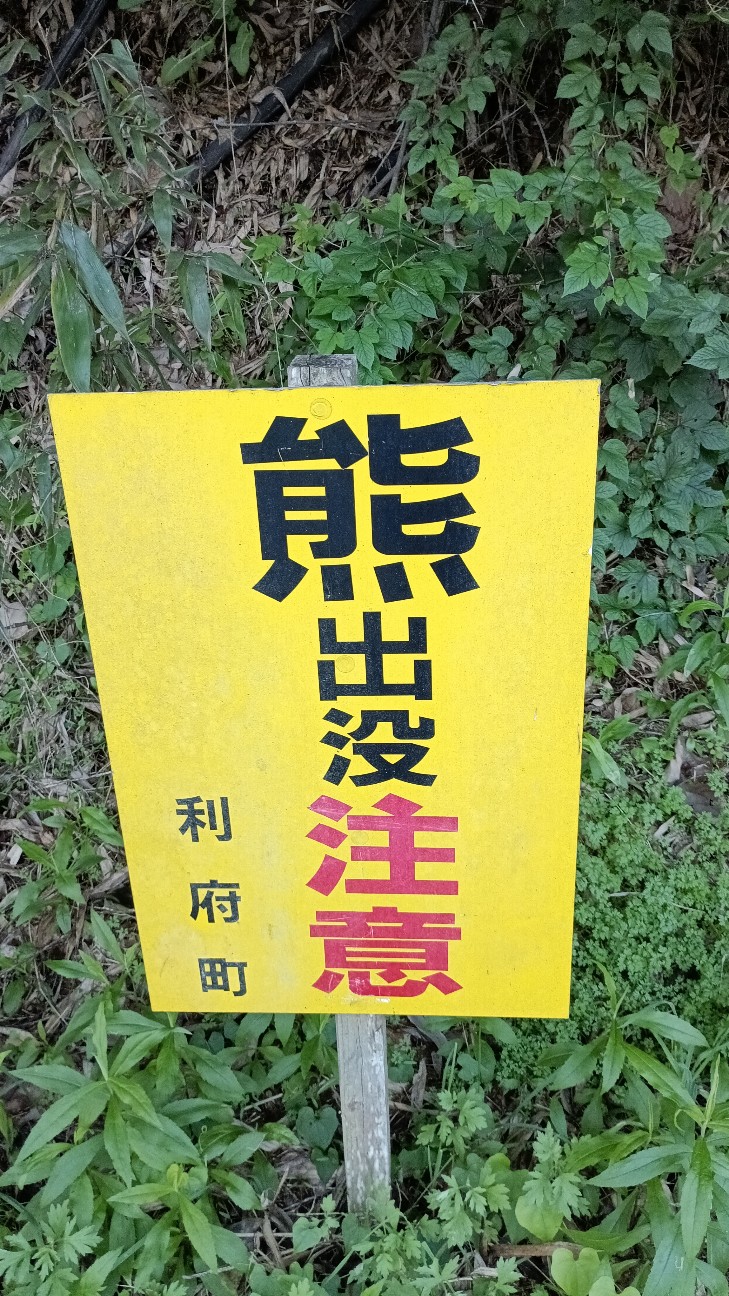 f:id:syuukyuutei:20260929161700j:image f:id:syuukyuutei:20260929161700j:image