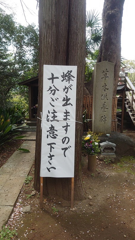 f:id:syuurei0609:20210403121605j:plain