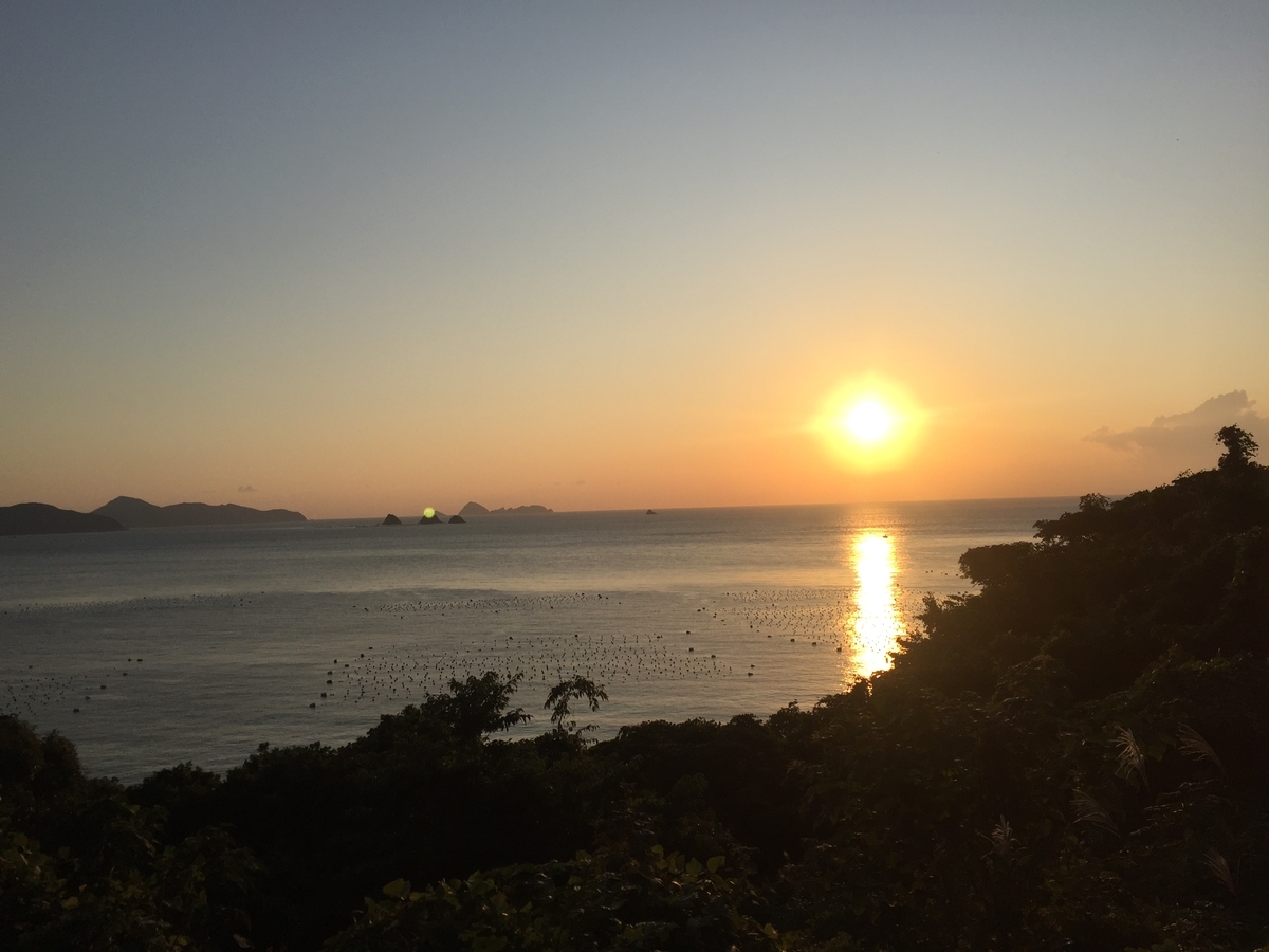 f:id:syuzoku_524:20191115223650j:plain
