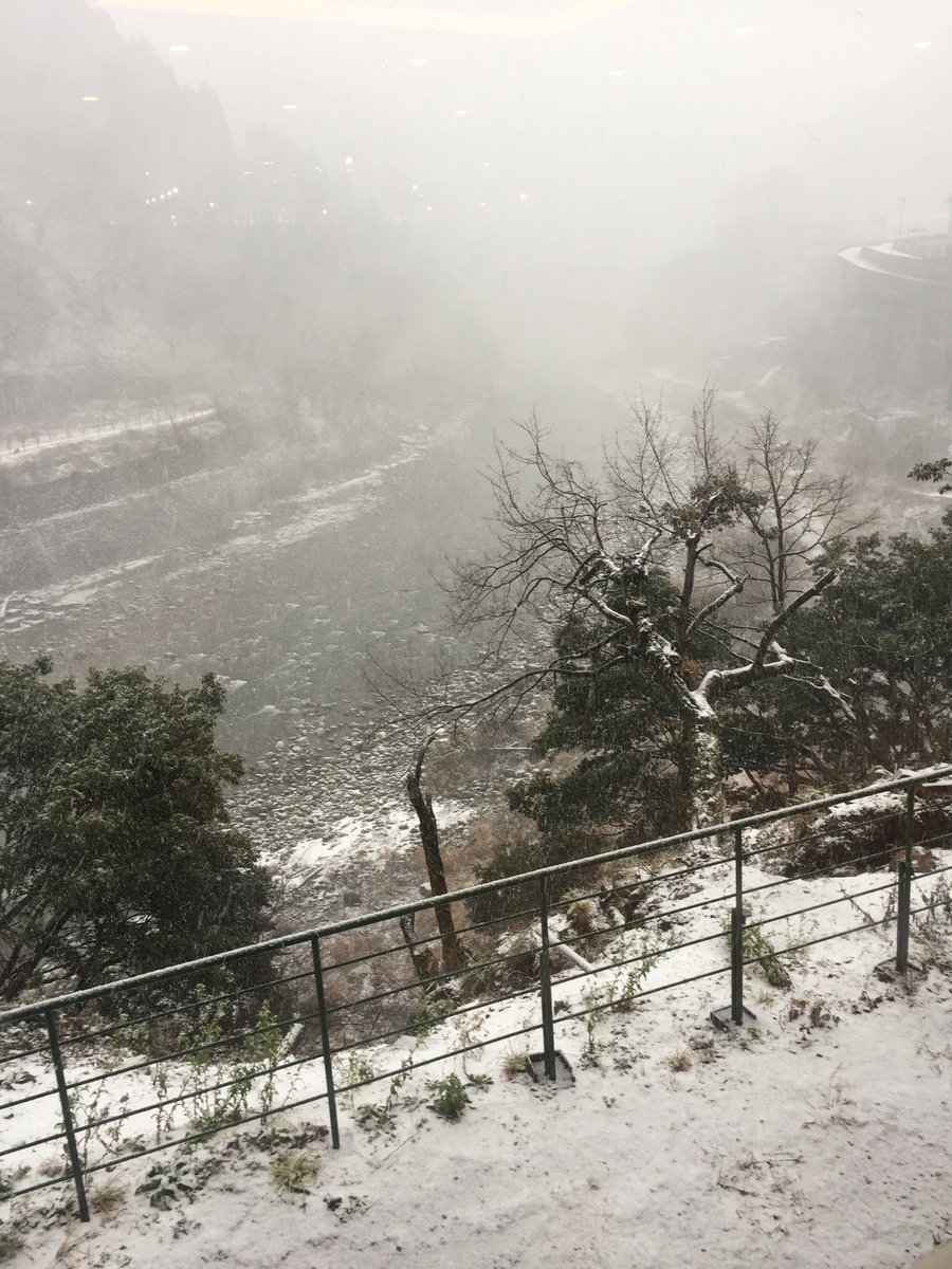 f:id:syuzoku_524:20200101014020j:plain