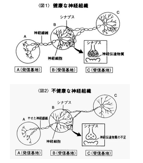 f:id:syuzoku_524:20200507211828p:plain f:id:syuzoku_524:20200507211828p:plain