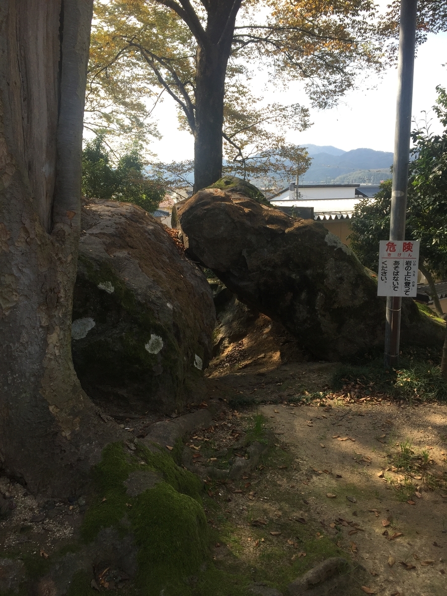 f:id:syuzoku_524:20211104212112j:plain