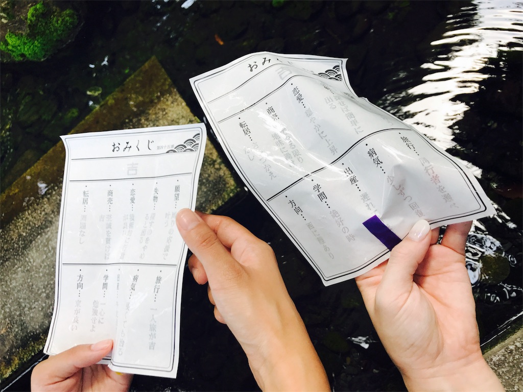 f:id:sz-iris-fk:20170809211847j:image