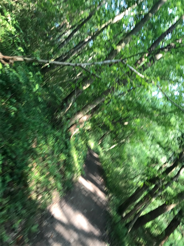 f:id:sz-iris-fk:20170813232106j:image