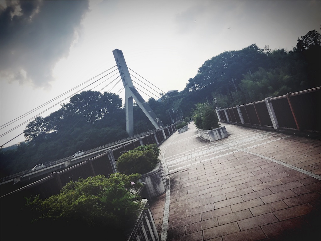 f:id:sz-iris-fk:20170813232451j:image