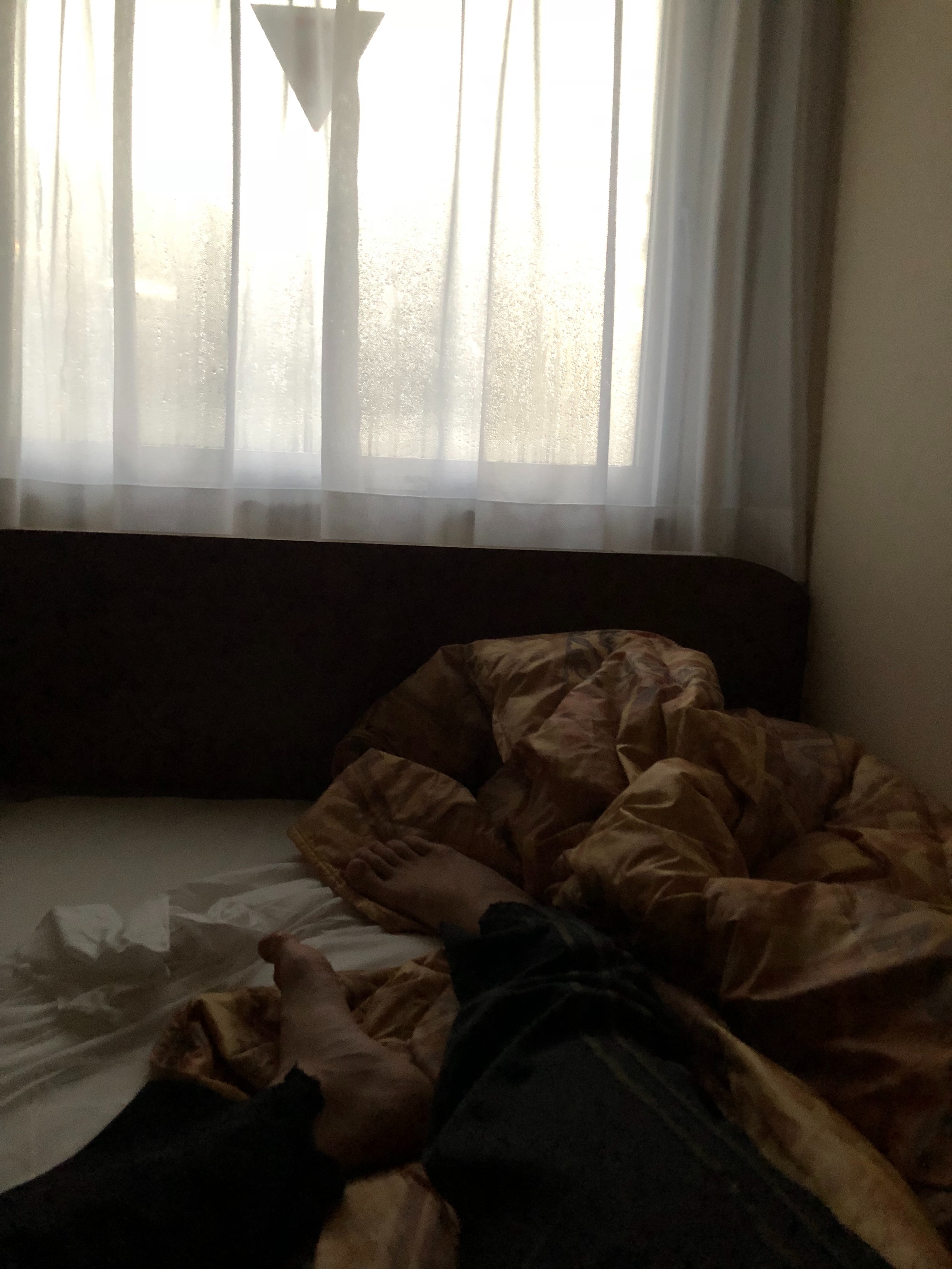 f:id:szk96:20180307112409j:image f:id:szk96:20180307112409j:image