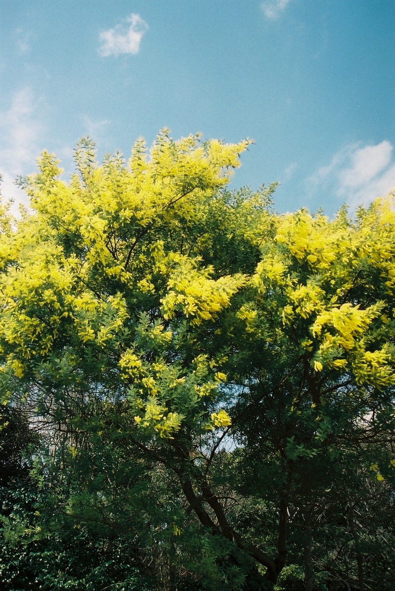 f:id:szkshiro:20190324210332j:plain f:id:szkshiro:20190324210332j:plain