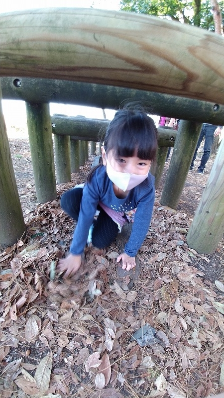 f:id:szkthsmk:20201125201703j:plain
