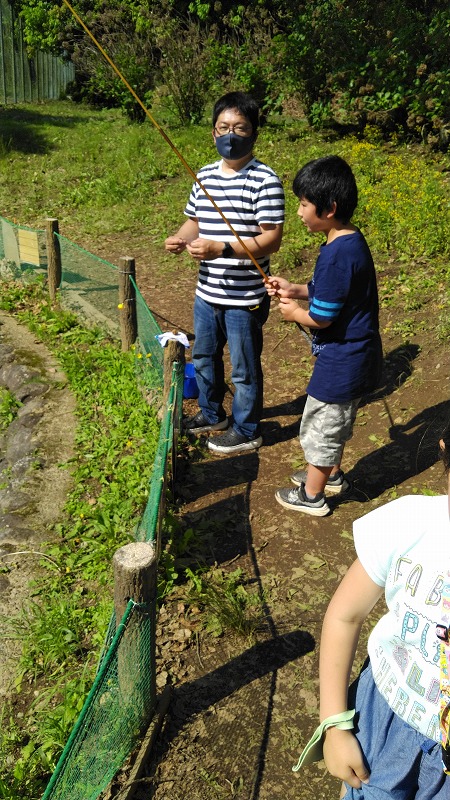 f:id:szkthsmk:20210525205620j:plain