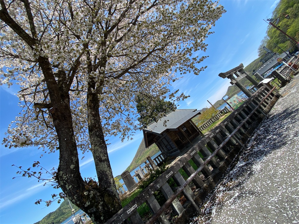 f:id:szrn815:20220511141042j:image f:id:szrn815:20220511141042j:image