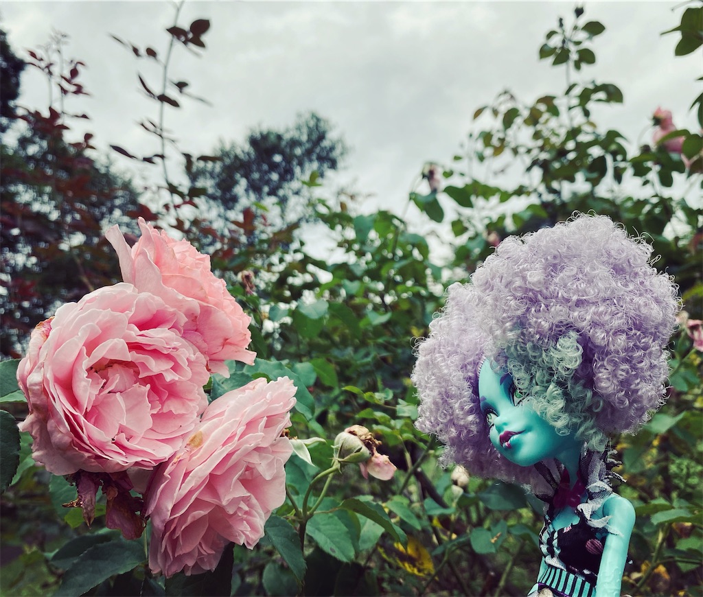 f:id:szrn815:20220817205937j:image f:id:szrn815:20220817205937j:image