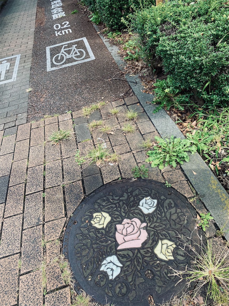 f:id:szrn815:20221009174249j:image