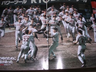 長嶋巨人 1994年レギュラー選手20名サイン入りタペストリー、94年日本